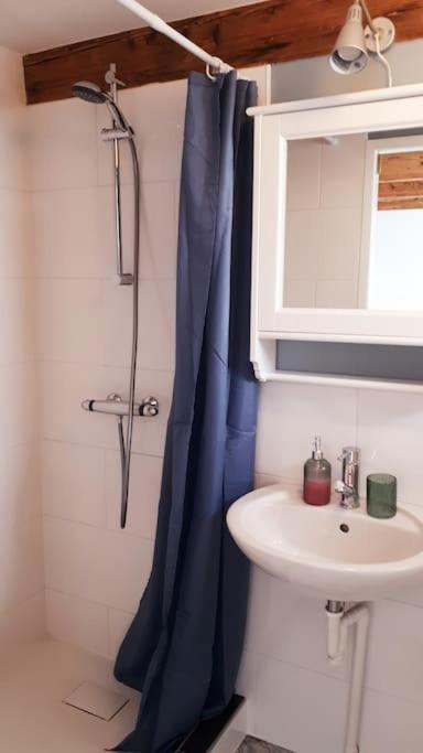 Olga'S Cottage Den Helder Luaran gambar